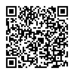 QRコード出張講義申込2024