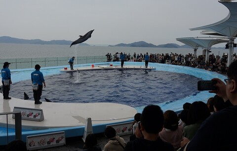 新入生セミナー⑦