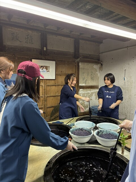 藍 学生 藍 学生