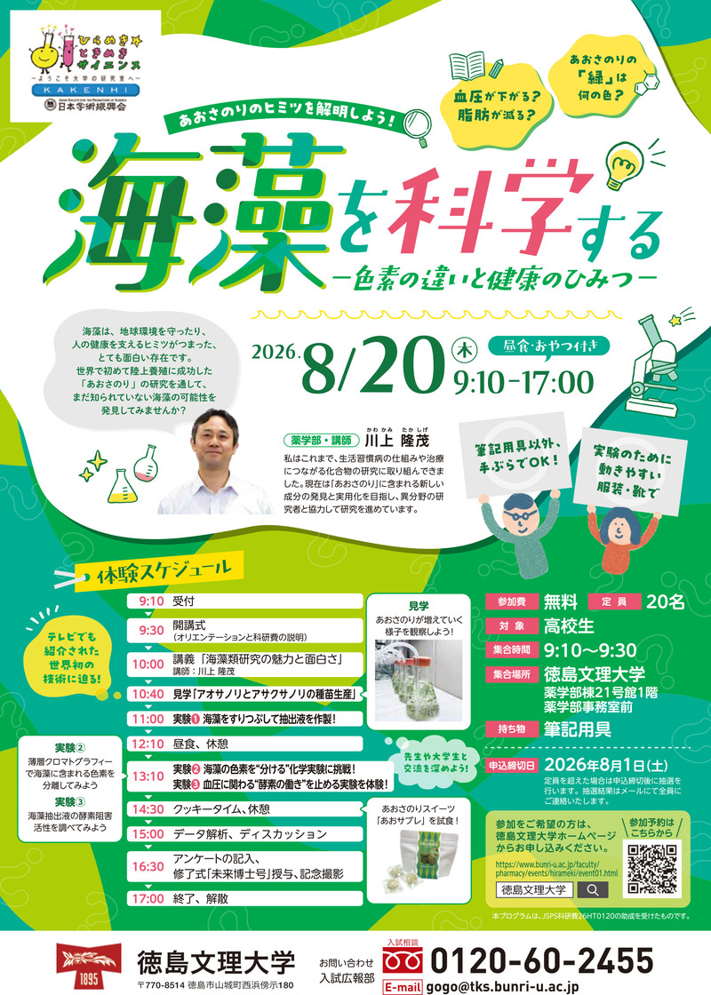 チラシ