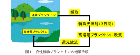 スクリーンショット 2024-09-19 142133