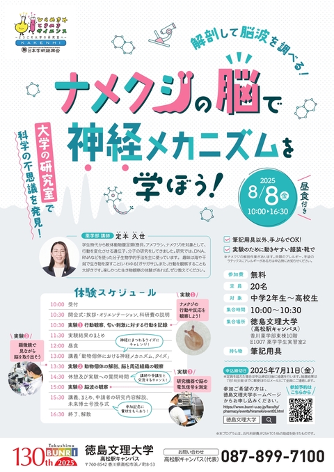 定本先生チラシ