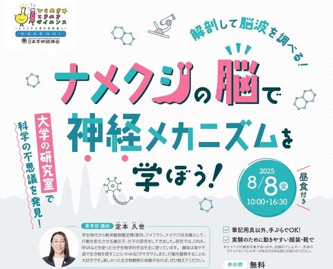 定本先生チラシ