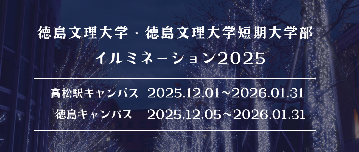 イルミネーション観賞について2025