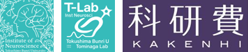 kakenhi.png
