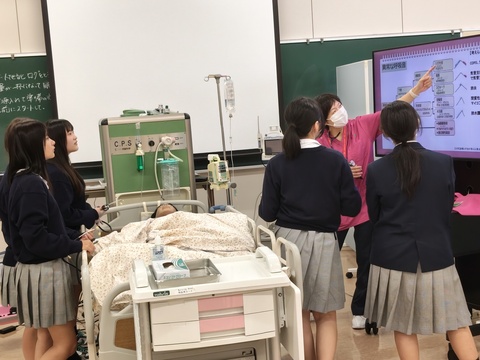看護学科